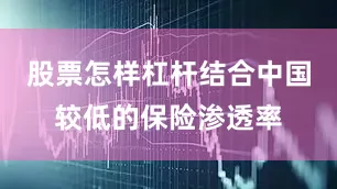股票怎样杠杆结合中国较低的保险渗透率